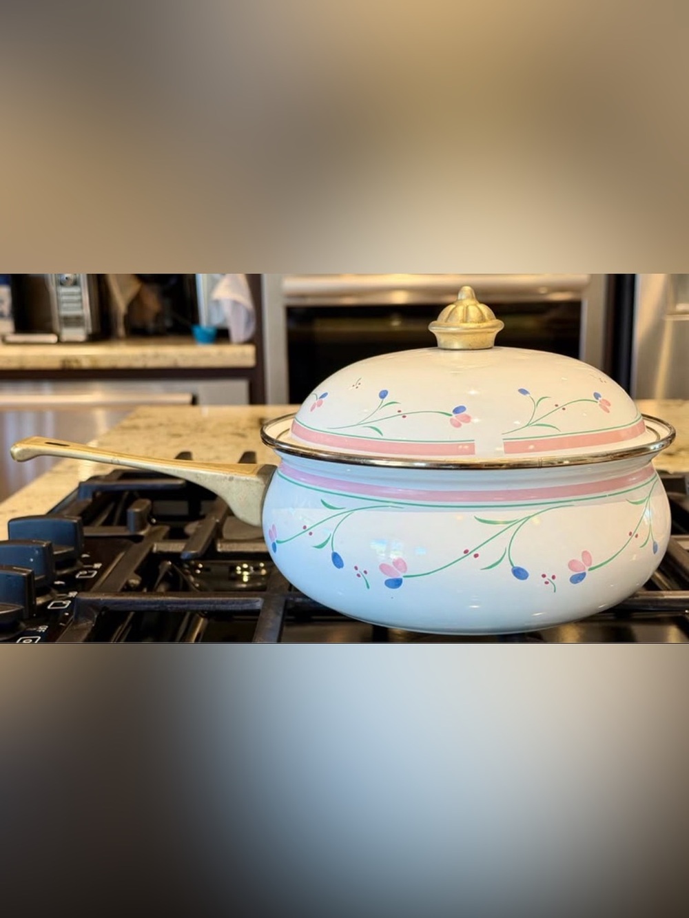 Vintage Ranmaru Nordic Wind 2 Qt Enamelware Saucepan 8” Lid Made in Japan